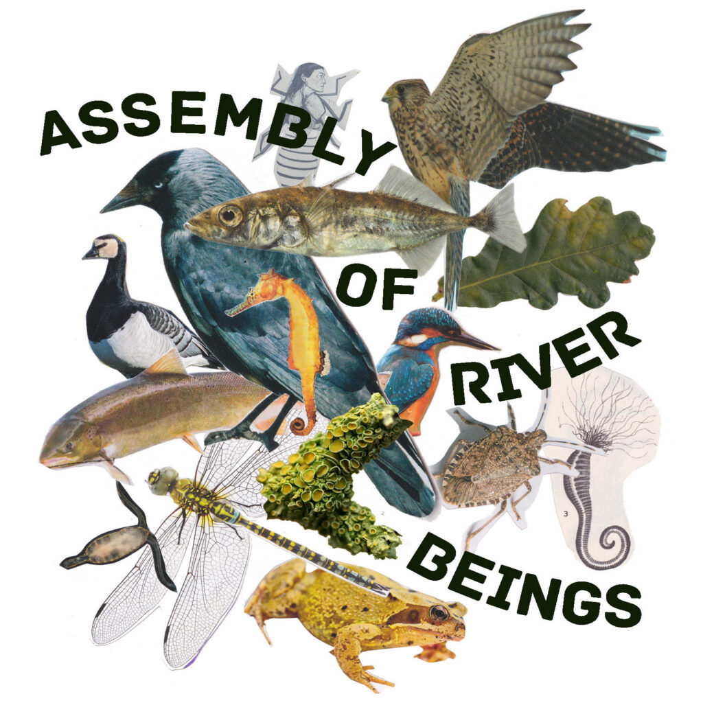 Assembly of River Beings