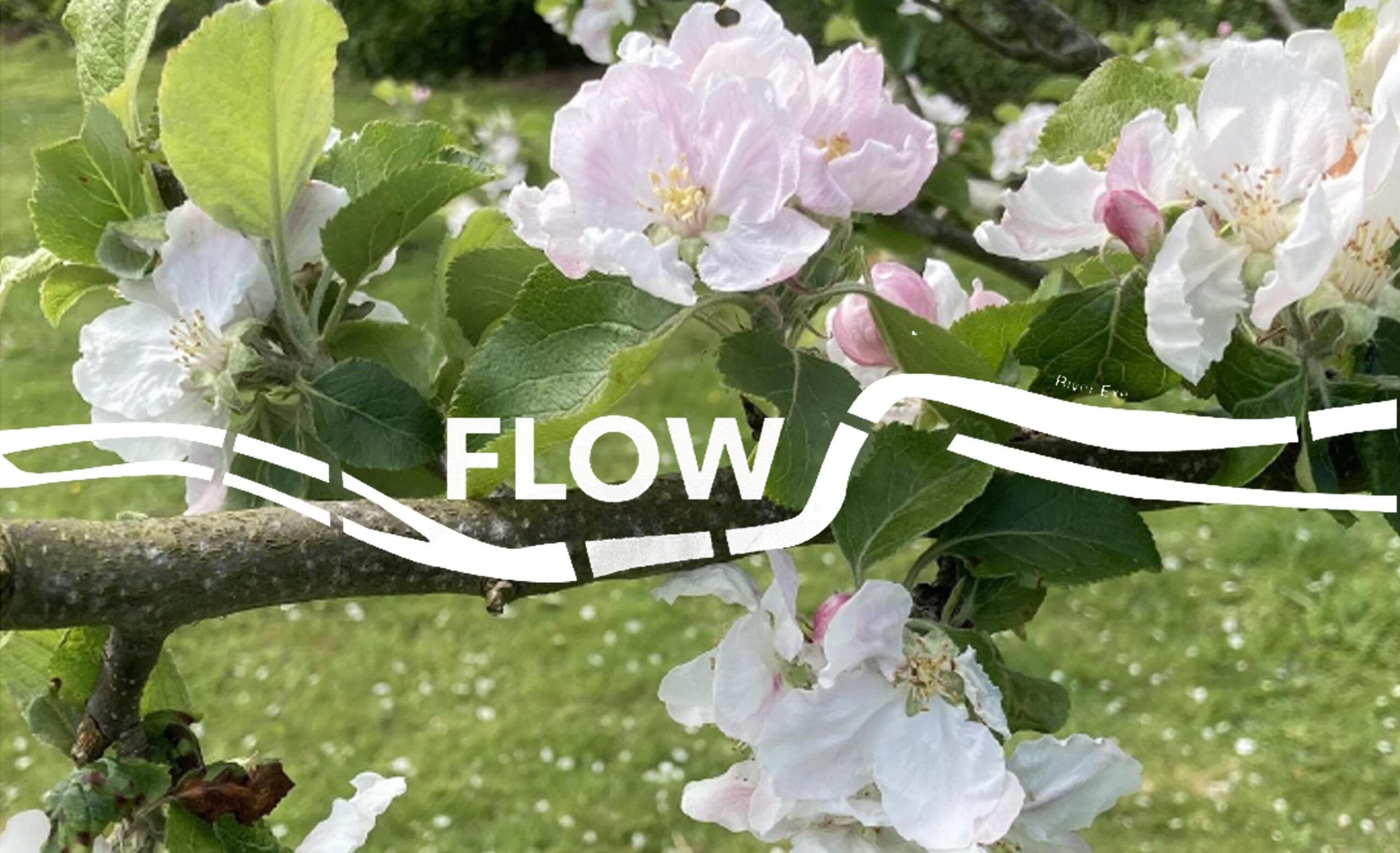 Flow: a multi-media exhibition
